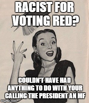 Throwing book vintage woman | RACIST FOR VOTING RED? COULDN'T HAVE HAD ANYTHING TO DO WITH YOUR CALLING THE PRESIDENT AN MF | image tagged in throwing book vintage woman | made w/ Imgflip meme maker