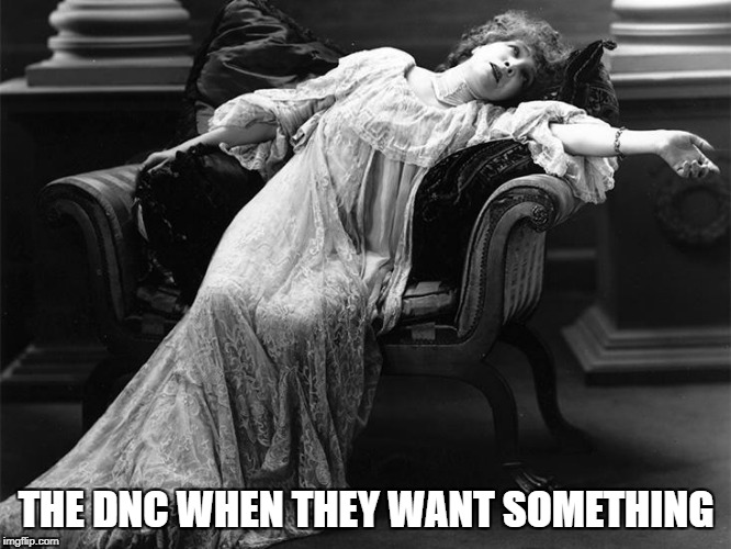 Vintage fainting woman | THE DNC WHEN THEY WANT SOMETHING | image tagged in vintage fainting woman | made w/ Imgflip meme maker