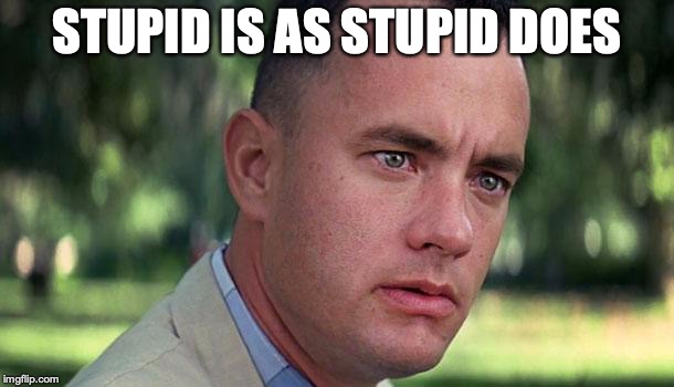 Forest Gump | STUPID IS AS STUPID DOES | image tagged in forest gump | made w/ Imgflip meme maker