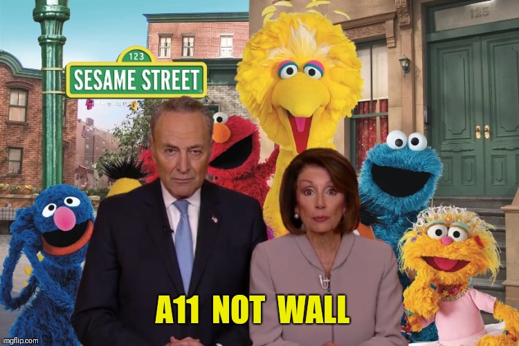 ALL NOT WALL | A11  NOT  WALL | image tagged in nancy pelosi,chuck schumer crying,sesame street,open borders,immigration,scumbag teacher | made w/ Imgflip meme maker