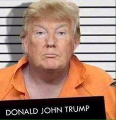 Trump in prison Blank Meme Template