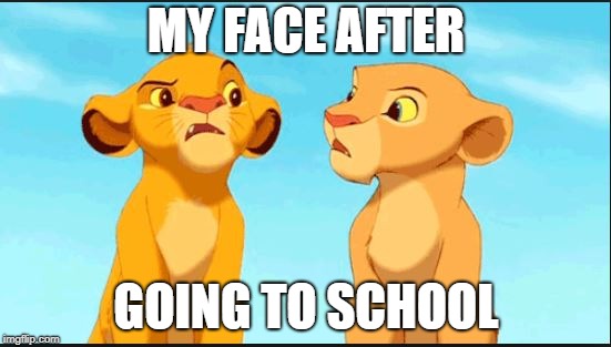 confused lion king | MY FACE AFTER; GOING TO SCHOOL | image tagged in confused lion king | made w/ Imgflip meme maker