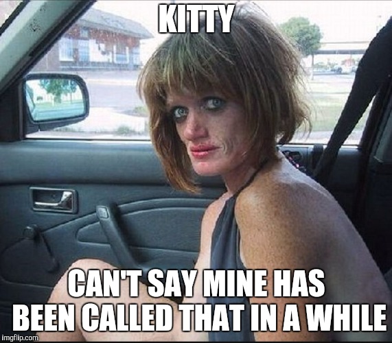 crack whore hooker | KITTY CAN'T SAY MINE HAS BEEN CALLED THAT IN A WHILE | image tagged in crack whore hooker | made w/ Imgflip meme maker