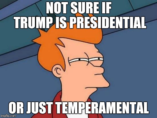 Trumperamental | NOT SURE IF TRUMP IS PRESIDENTIAL; OR JUST TEMPERAMENTAL | image tagged in memes,futurama fry,president trump,tantrum,trump wall,government shutdown | made w/ Imgflip meme maker