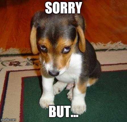 sorry | SORRY BUT... | image tagged in sorry | made w/ Imgflip meme maker
