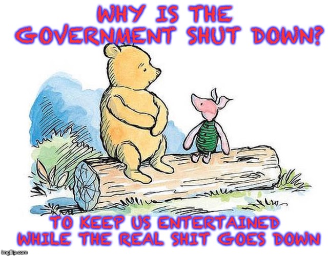 What’s really going on! | WHY IS THE GOVERNMENT SHUT DOWN? TO KEEP US ENTERTAINED WHILE THE REAL SHIT GOES DOWN | image tagged in winnie the pooh and piglet | made w/ Imgflip meme maker