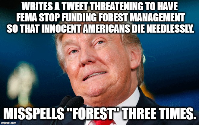 "Forrest" Trump | WRITES A TWEET THREATENING TO HAVE FEMA STOP FUNDING FOREST MANAGEMENT SO THAT INNOCENT AMERICANS DIE NEEDLESSLY. MISSPELLS "FOREST" THREE TIMES. | image tagged in donald trump,tweet,california,california fires,fema,forest | made w/ Imgflip meme maker