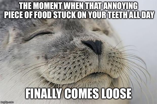 Satisfied Seal | THE MOMENT WHEN THAT ANNOYING PIECE OF FOOD STUCK ON YOUR TEETH ALL DAY; FINALLY COMES LOOSE | image tagged in memes,satisfied seal,AdviceAnimals | made w/ Imgflip meme maker