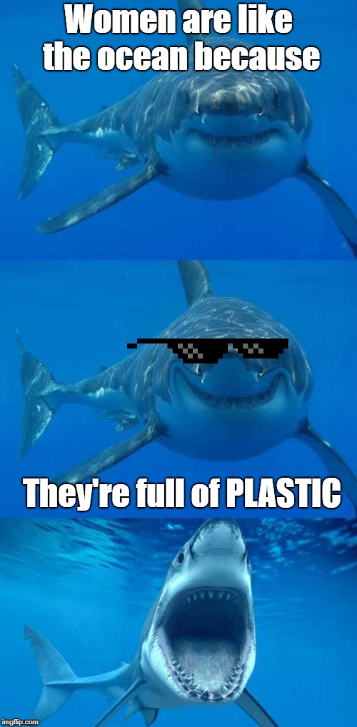 Not half Bad Shark Pun | Women are like the ocean because; They're full of PLASTIC | image tagged in bad shark pun | made w/ Imgflip meme maker