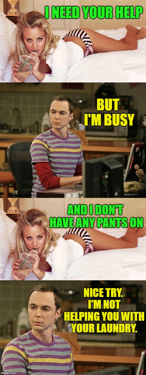 Sweet, oblivious Sheldon | I NEED YOUR HELP; BUT I'M BUSY; AND I DON'T HAVE ANY PANTS ON; NICE TRY. I'M NOT HELPING YOU WITH YOUR LAUNDRY. | image tagged in memes,the big bang theory,sheldon cooper,penny,dashhopes,funny | made w/ Imgflip meme maker