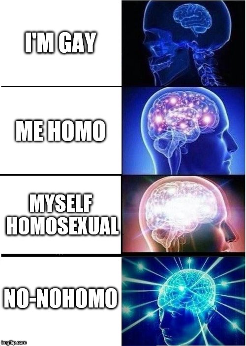 what a gay meme! #nohomo | I'M GAY; ME HOMO; MYSELF HOMOSEXUAL; NO-NOHOMO | image tagged in memes,expanding brain | made w/ Imgflip meme maker