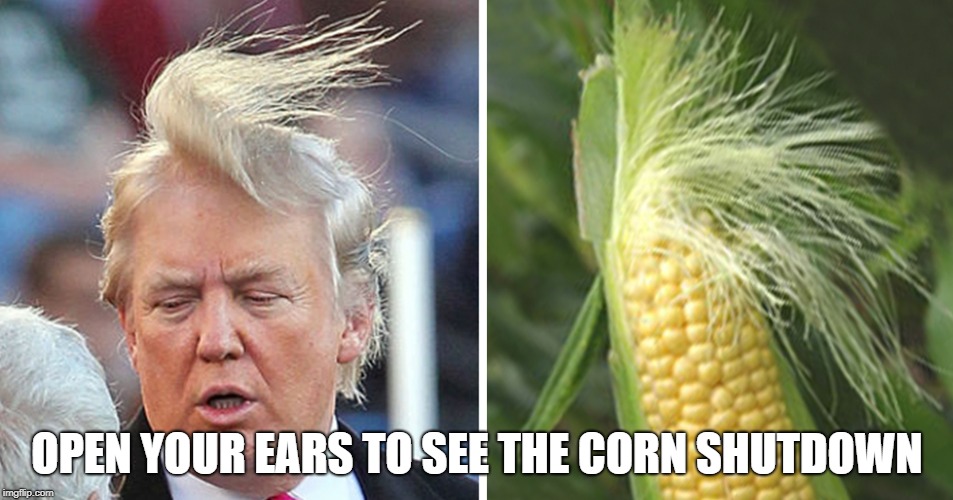 Is there a corn shutdown in the Midwest? | OPEN YOUR EARS TO SEE THE CORN SHUTDOWN | image tagged in trump orders corn shutdown,government shutdown,corny,impeach trump | made w/ Imgflip meme maker