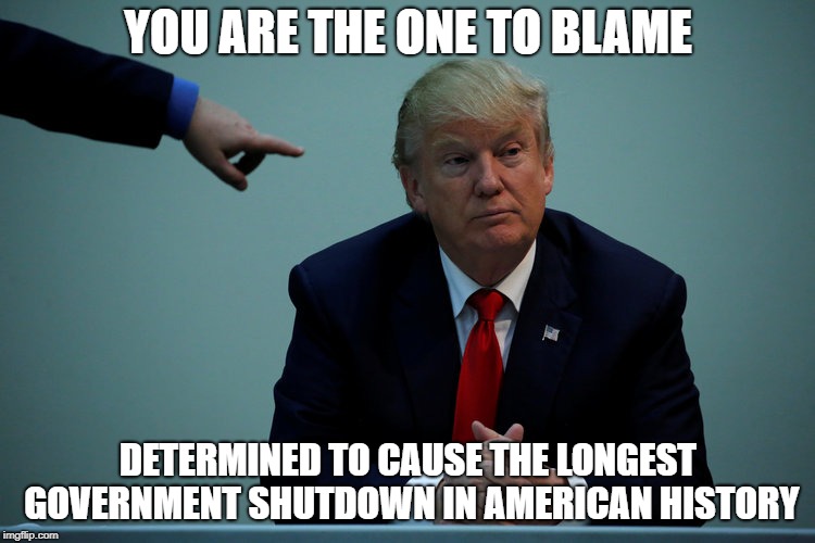Historical Stupidity | YOU ARE THE ONE TO BLAME; DETERMINED TO CAUSE THE LONGEST GOVERNMENT SHUTDOWN IN AMERICAN HISTORY | image tagged in dump trump,government shutdown,impeach trump | made w/ Imgflip meme maker