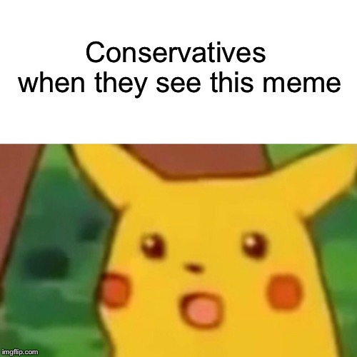 Surprised Pikachu Meme | Conservatives when they see this meme | image tagged in memes,surprised pikachu | made w/ Imgflip meme maker