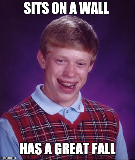 Bad Luck Brian Meme | SITS ON A WALL; HAS A GREAT FALL | image tagged in memes,bad luck brian | made w/ Imgflip meme maker