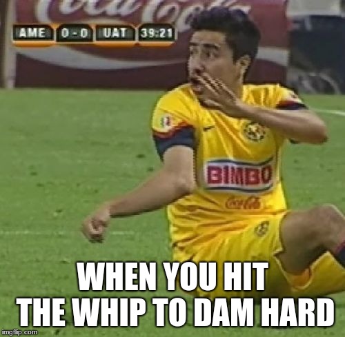 Efrain Juarez Meme | WHEN YOU HIT THE WHIP TO DAM HARD | image tagged in memes,efrain juarez | made w/ Imgflip meme maker