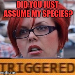 DID YOU JUST ASSUME MY SPECIES? | made w/ Imgflip meme maker