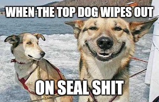 Original Stoner Dog | WHEN THE TOP DOG WIPES OUT; ON SEAL SHIT | image tagged in memes,original stoner dog | made w/ Imgflip meme maker