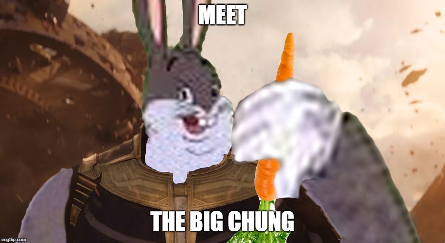 This is the begining of a new era for memes | MEET; THE BIG CHUNG | image tagged in big chungus,thanos | made w/ Imgflip meme maker