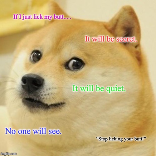 All dogs.  | If I just lick my butt..... It will be secret. It will be quiet. No one will see. “Stop licking your butt!” | image tagged in memes,doge | made w/ Imgflip meme maker