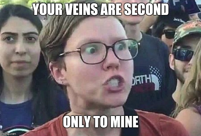 Triggered Liberal | YOUR VEINS ARE SECOND ONLY TO MINE | image tagged in triggered liberal | made w/ Imgflip meme maker