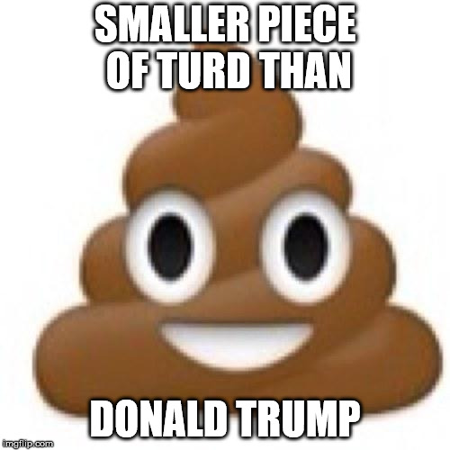 Turd | SMALLER PIECE OF TURD THAN; DONALD TRUMP | image tagged in turd | made w/ Imgflip meme maker