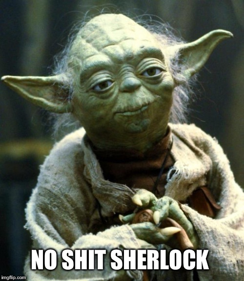 Star Wars Yoda Meme | NO SHIT SHERLOCK | image tagged in memes,star wars yoda | made w/ Imgflip meme maker