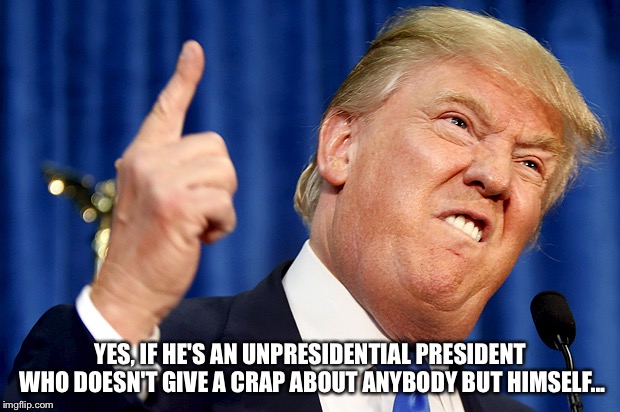 Donald Trump | YES, IF HE'S AN UNPRESIDENTIAL PRESIDENT WHO DOESN'T GIVE A CRAP ABOUT ANYBODY BUT HIMSELF... | image tagged in donald trump | made w/ Imgflip meme maker