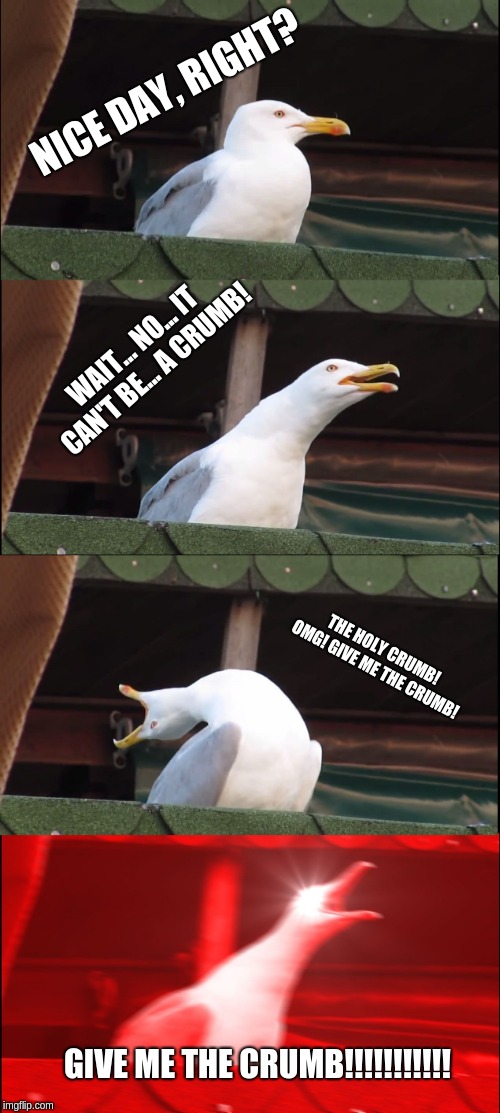 Inhaling Seagull Meme | NICE DAY, RIGHT? WAIT... NO... IT CAN'T BE... A CRUMB! THE HOLY CRUMB! OMG! GIVE ME THE CRUMB! GIVE ME THE CRUMB!!!!!!!!!!! | image tagged in memes,inhaling seagull | made w/ Imgflip meme maker