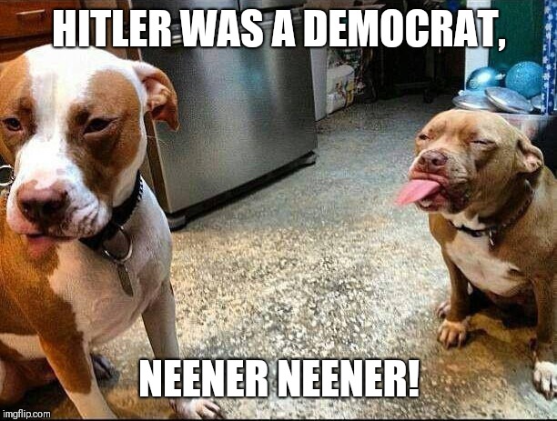 bulldog neener | HITLER WAS A DEMOCRAT, NEENER NEENER! | image tagged in bulldog neener | made w/ Imgflip meme maker