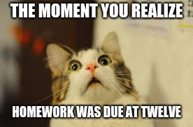 THE MOMENT YOU REALIZE; HOMEWORK WAS DUE AT TWELVE | image tagged in meme | made w/ Imgflip meme maker