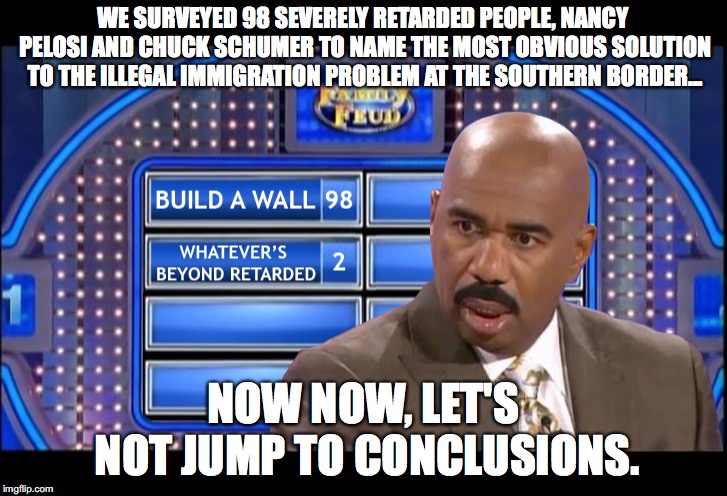 Obvious To Even The Most Dim-witted Individual | WE SURVEYED 98 SEVERELY RETARDED PEOPLE, NANCY PELOSI AND CHUCK SCHUMER TO NAME THE MOST OBVIOUS SOLUTION TO THE ILLEGAL IMMIGRATION PROBLEM AT THE SOUTHERN BORDER... NOW NOW, LET'S NOT JUMP TO CONCLUSIONS. | image tagged in border wall,steve harvey | made w/ Imgflip meme maker