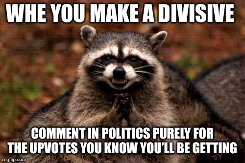 Evil Plotting Raccoon | WHE YOU MAKE A DIVISIVE; COMMENT IN POLITICS PURELY FOR THE UPVOTES YOU KNOW YOU’LL BE GETTING | image tagged in memes,evil plotting raccoon | made w/ Imgflip meme maker
