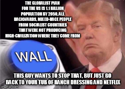 Trump wall button  | THE GLOBALIST PLAN FOR THE US IS 1.1 BILLION POPULATION BY 2050, ALL BACKWARDS, MIXED-RACE PEOPLE FROM SOCIALIST COUNTRIES THAT WERE NOT PRODUCING HIGH-CIVILIZATION WHERE THEY COME FROM; THIS GUY WANTS TO STOP THAT, BUT JUST GO BACK TO YOUR TUB OF RANCH DRESSING AND NETFLIX | image tagged in trump wall button | made w/ Imgflip meme maker