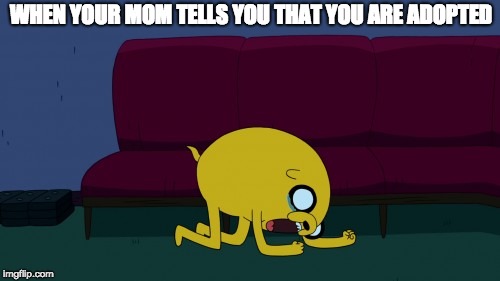 WHEN YOUR MOM TELLS YOU THAT YOU ARE ADOPTED | image tagged in jake | made w/ Imgflip meme maker