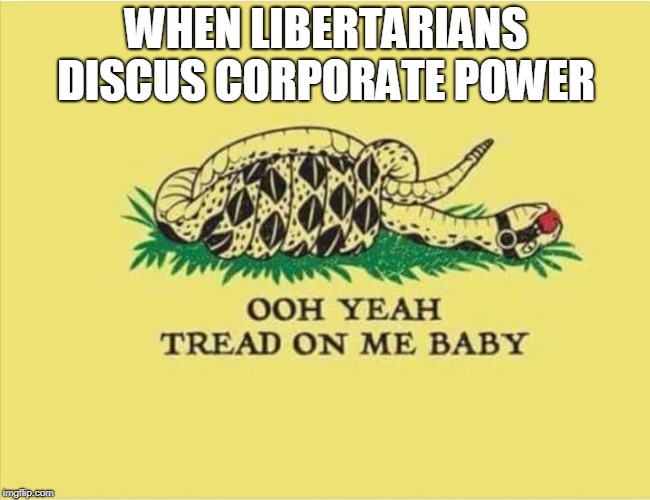 pedophile right  | WHEN LIBERTARIANS DISCUS CORPORATE POWER | image tagged in alt right | made w/ Imgflip meme maker