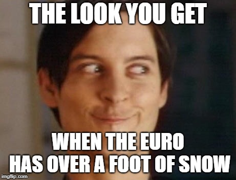 Spiderman Peter Parker Meme | THE LOOK YOU GET; WHEN THE EURO HAS OVER A FOOT OF SNOW | image tagged in memes,spiderman peter parker | made w/ Imgflip meme maker