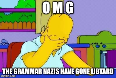 OMG homer | O M G THE GRAMMAR NAZIS HAVE GONE LIBTARD | image tagged in omg homer | made w/ Imgflip meme maker