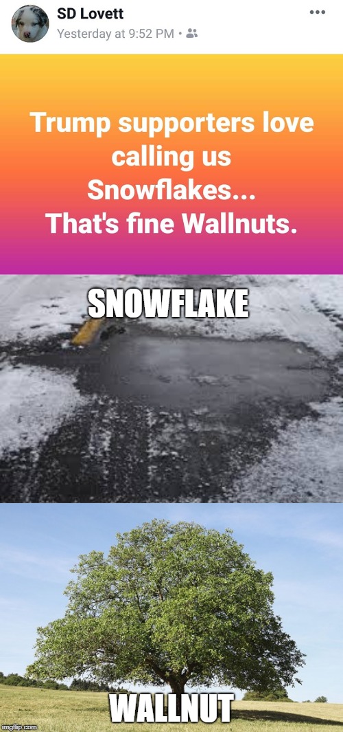 Individuality.  | SNOWFLAKE; WALLNUT | image tagged in snowflake,wallnut,individuality | made w/ Imgflip meme maker