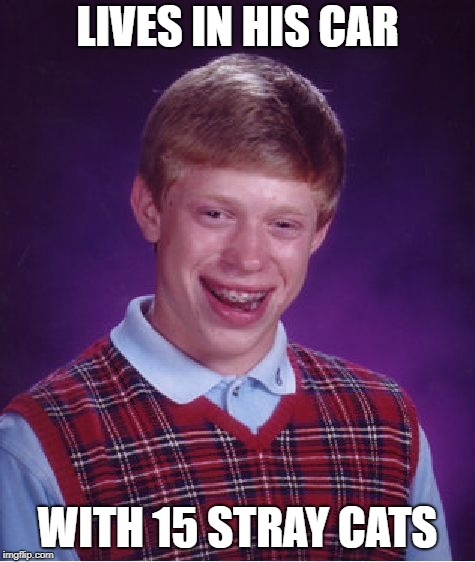 Bad Luck Brian Meme | LIVES IN HIS CAR WITH 15 STRAY CATS | image tagged in memes,bad luck brian | made w/ Imgflip meme maker