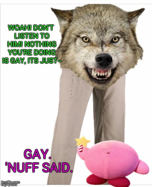 Wolfpants and Derby | WOAH! DON'T LISTEN TO HIM! NOTHING YOU'RE DOING IS GAY, ITS JUST-- GAY. 'NUFF SAID. | image tagged in wolfpants and derby | made w/ Imgflip meme maker
