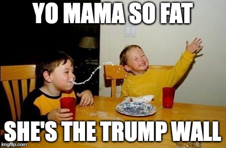 Yo Momma So Fat | YO MAMA SO FAT; SHE'S THE TRUMP WALL | image tagged in yo momma so fat | made w/ Imgflip meme maker