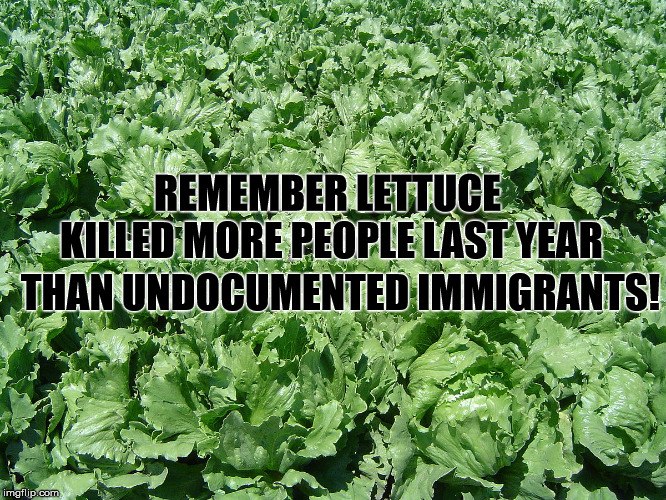 

 | REMEMBER LETTUCE KILLED MORE PEOPLE LAST YEAR; THAN UNDOCUMENTED IMMIGRANTS! | image tagged in wall,trump,news,shutdown,governmentshutdown | made w/ Imgflip meme maker