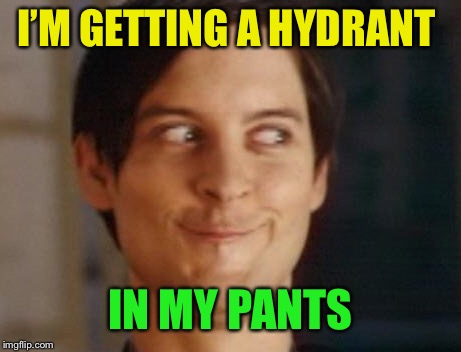 Spiderman Peter Parker Meme | I’M GETTING A HYDRANT IN MY PANTS | image tagged in memes,spiderman peter parker | made w/ Imgflip meme maker
