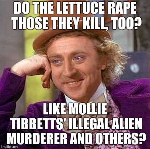 Creepy Condescending Wonka Meme | DO THE LETTUCE **PE THOSE THEY KILL, TOO? LIKE MOLLIE TIBBETTS' ILLEGAL ALIEN MURDERER AND OTHERS? | image tagged in memes,creepy condescending wonka | made w/ Imgflip meme maker