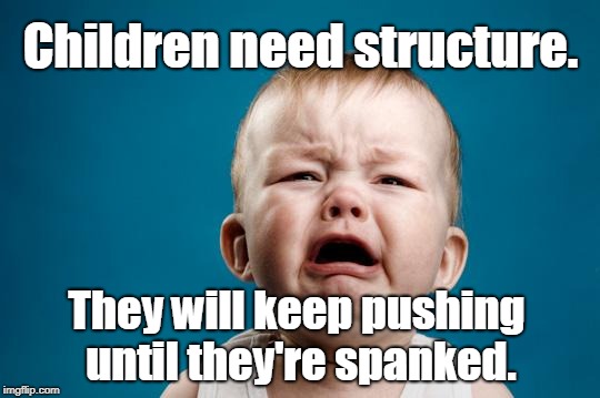 USA Needs a Civil War Every Now and Then to Keep Democrats in Line | Children need structure. They will keep pushing until they're spanked. | image tagged in crying baby,democrats,civil war,spank | made w/ Imgflip meme maker