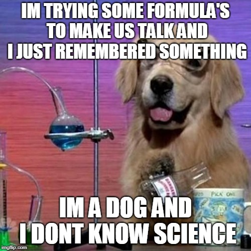 I Have No Idea What I Am Doing Dog Meme | IM TRYING SOME FORMULA'S TO MAKE US TALK AND I JUST REMEMBERED SOMETHING IM A DOG AND I DONT KNOW SCIENCE | image tagged in memes,i have no idea what i am doing dog | made w/ Imgflip meme maker