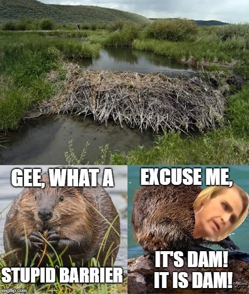 Excuse me, it's dam! | image tagged in ma'am | made w/ Imgflip meme maker