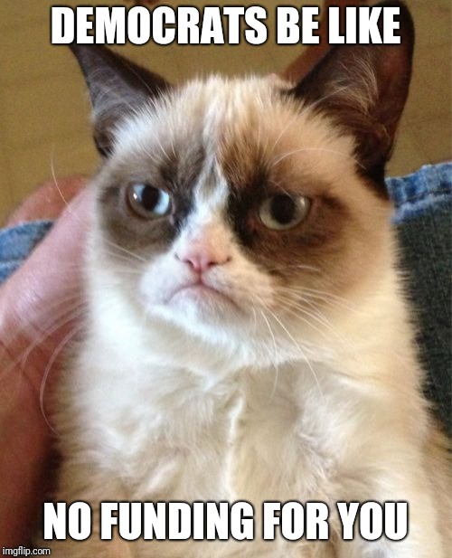 Grumpy Cat | DEMOCRATS BE LIKE; NO FUNDING FOR YOU | image tagged in memes,grumpy cat | made w/ Imgflip meme maker