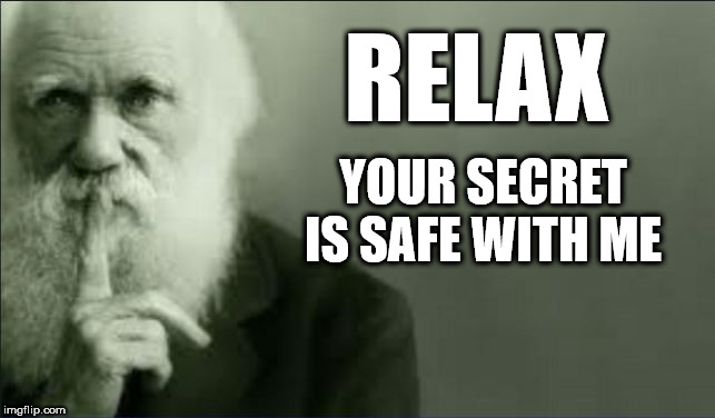 Shhhh | RELAX; YOUR SECRET IS SAFE WITH ME | image tagged in shhhh | made w/ Imgflip meme maker
